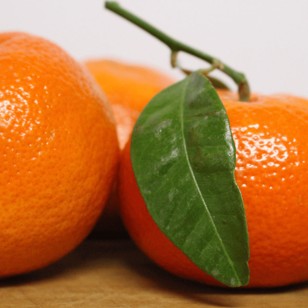 Farm Fresh Sargodha's Golden Kinnow - Hand Plucked - Limited Season Only - Fruitofy