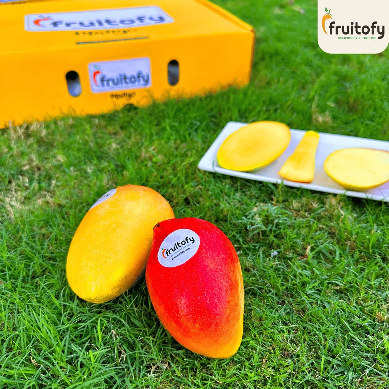 Laal Badshah - Fruitofy