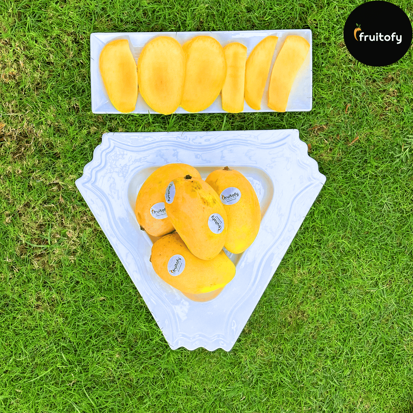 Mosami Chaunsa - Fruitofy