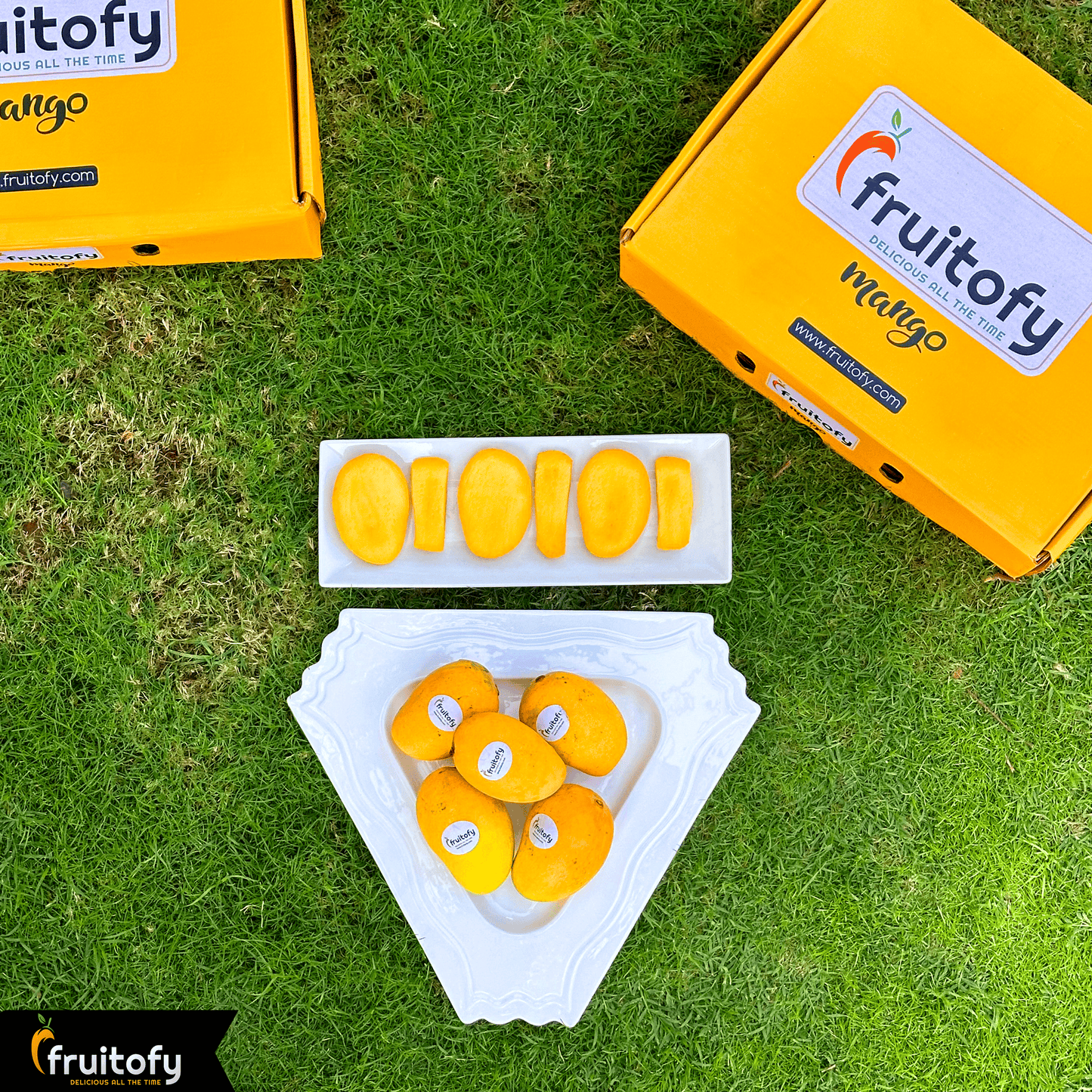 Ratol 12 Number - Fruitofy