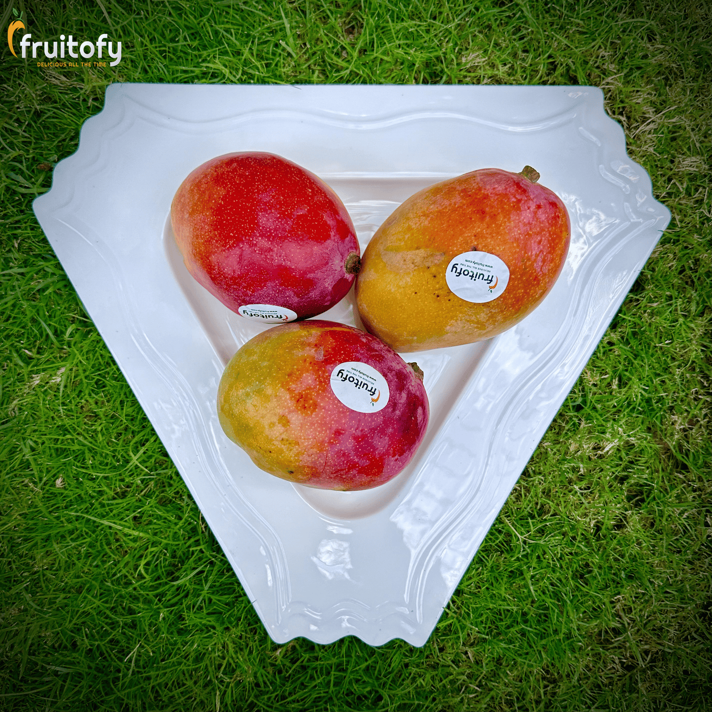 Tommy Atkins - Fruitofy