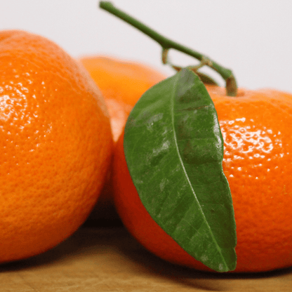 Farm Fresh Sargodha's Golden Kinnow - Hand Plucked - Limited Season Only