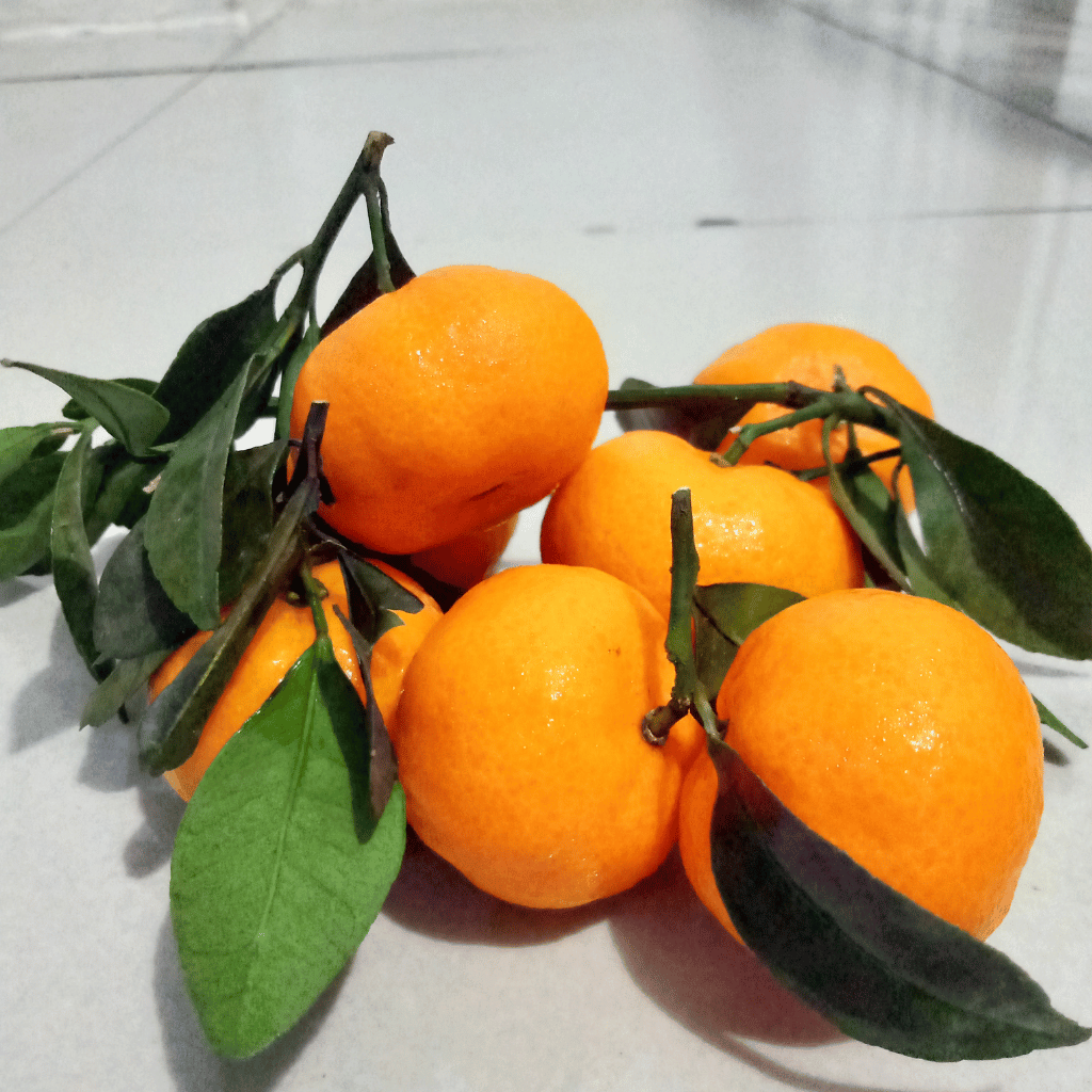 Farm Fresh Sargodha's Golden Kinnow - Hand Plucked - Limited Season Only