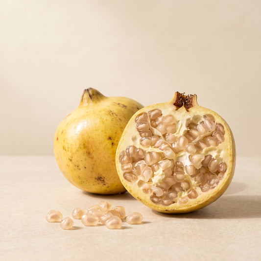 Sava — The Reserve White Anar of Alipur