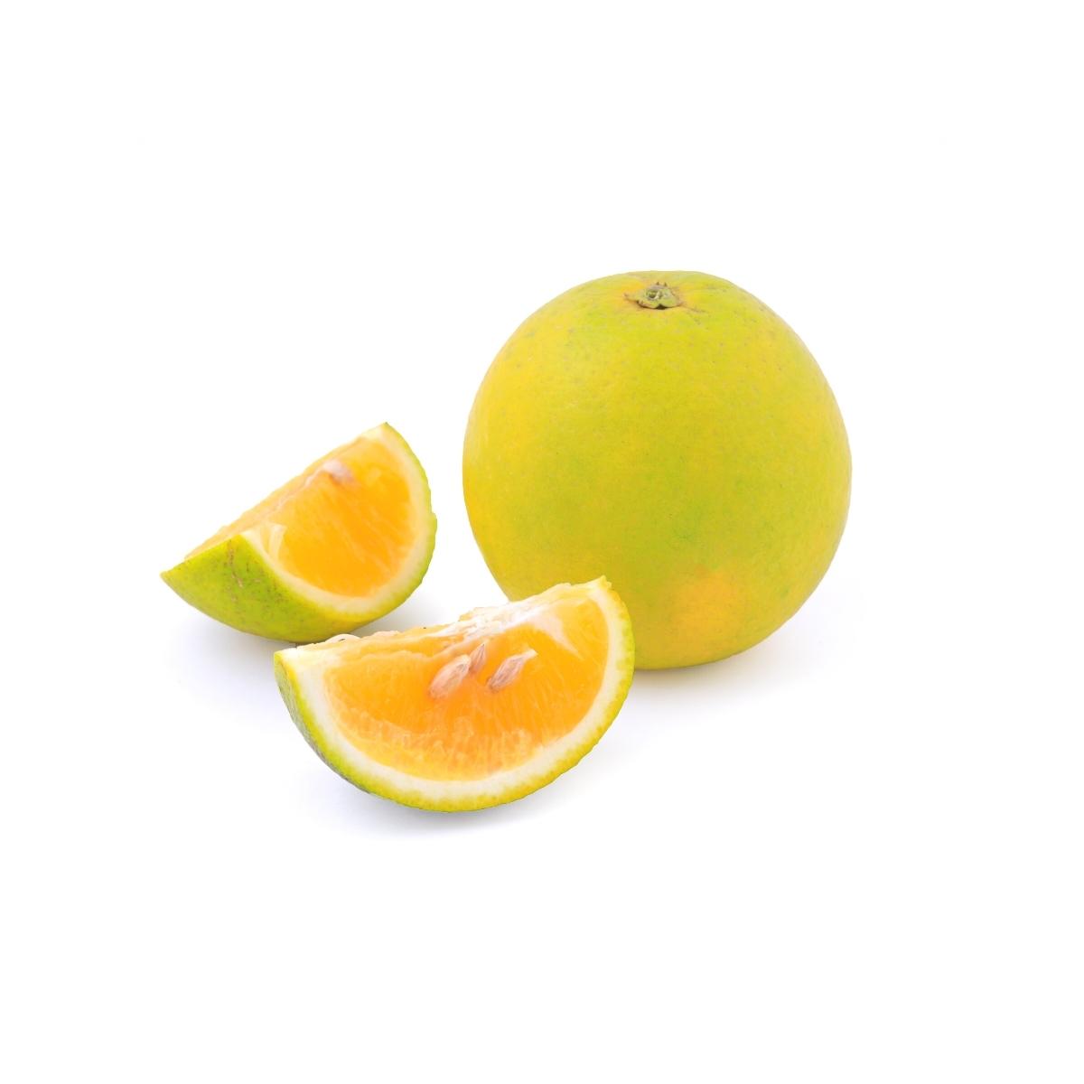 Mosambi Orange (Malta)